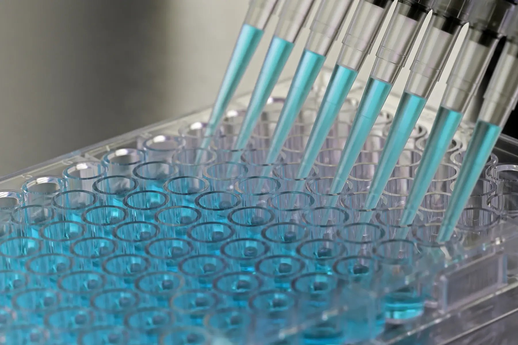 AdobeStock_102699290__Pipette__Large-Block